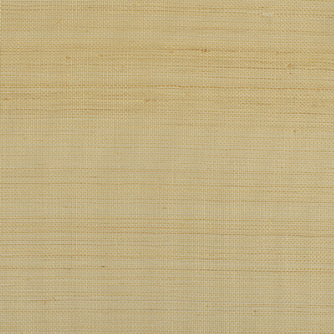 Winfield Thybony Wallcovering WIW2520P.WT.0 Wallcovering ABACA - 100% United States </p><p>Repeat: H: , V: 27.5 21 - My Fabric Connection -