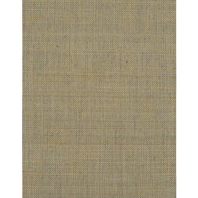 Winfield Thybony Wallcovering WIW2540.WT.0 Wallcovering ABACA - 100% United States </p><p>Repeat: H: , V: 27.5 21 - My Fabric Connection -