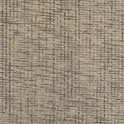 Winfield Thybony Wallcovering WIW2557P.WT.0 Wallcovering PAPER - 100% United States </p><p>Repeat: H: , V: 27.5 21 - My Fabric Connection -