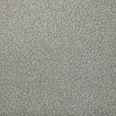 Kravet Contract Upholstery WOOLF.1101.0 Upholstery POLYURETHANE - 95%;SILICONE - 5% Taiwan </p><p>Repeat: H: , V: 27.5 21 - My Fabric Connection -