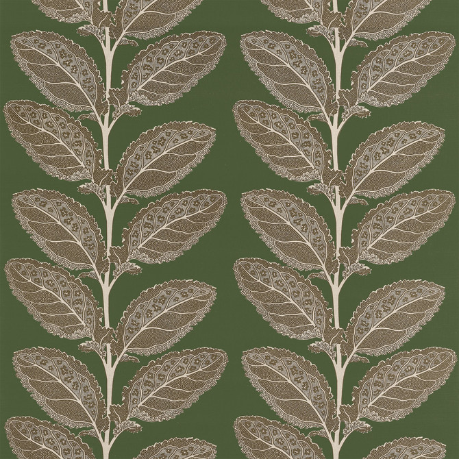 Lacinato Wild Sage F912040 by Thibaut Fabric Thibaut Fabric Lacinato Wild Sage F912040Fabric Vista </p><p>Repeat: V: 19.50" (49.53 cm) 54.00" (137.16 cm) - Fabric Carolina -