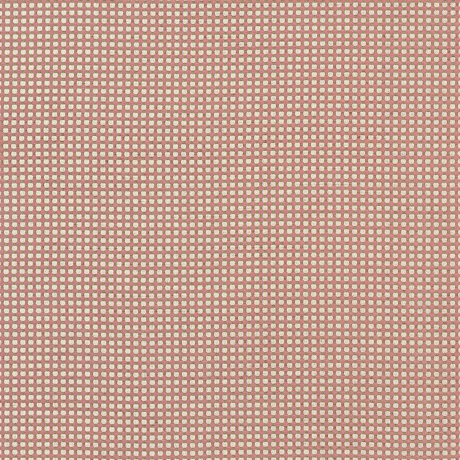 Darcy Persimmon W81925 by Thibaut Fabric Thibaut Fabric Darcy Persimmon W81925Fabric Companions </p><p>Repeat: V: 0.50" (1.27 cm) 54.00" (137.16 cm) - Fabric Carolina -