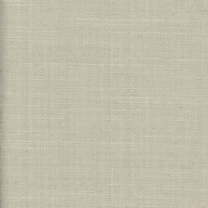 <p>The Reason Is Bone by Carole Fabric</p><p><strong>Required Minimum Quantity Purchase: 2 yards</strong></p><p>Book: Desert Sands</p><p>Content: 100% Polyester</p><p>Origin: </p><p>Performance: N/A</p><p>Repeat: None</p><p>Width: 54""</p>