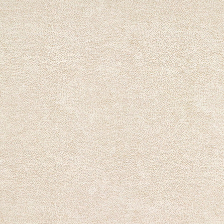 <p>Interior Canvas by Carole Fabric</p><p><strong>Required Minimum Quantity Purchase: 2 yards</strong></p><p>Book: Quiet Luxury</p><p>Content: 72% Polyester, 28% Cotton</p><p>Origin: </p><p>Performance: N/A</p><p>Repeat: None</p><p>Width: 54""</p>