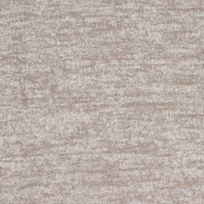 <p>Shopping Spree Taupe by Carole Fabric</p><p><strong>Required Minimum Quantity Purchase: 2 yards</strong></p><p>Book: Quiet Luxury</p><p>Content: 97% Polyester, 3% Lurex</p><p>Origin: </p><p>Performance: N/A</p><p>Repeat: None</p><p>Width: 59""</p>