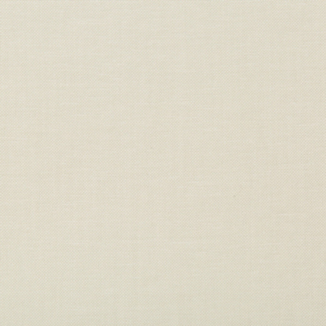 <p>Tia Eggshell by Carole Fabric</p><p><strong>Required Minimum Quantity Purchase: 2 yards</strong></p><p>Book: Sea Salt</p><p>Content: 77% Cotton, 23% Polyester</p><p>Origin: </p><p>Performance: 18,000 Wyzenbeek Double Rubs</p><p>Repeat: None</p><p>Width: 54""</p>