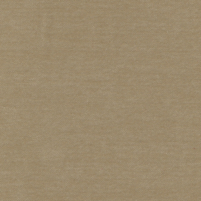 <p>Warm Up Caramel by Carole Fabric</p><p><strong>Required Minimum Quantity Purchase: 2 yards</strong></p><p>Book: Warm Embrace</p><p>Content: 100% Polyester</p><p>Origin: </p><p>Performance: N/A</p><p>Repeat: None</p><p>Width: 55""</p>