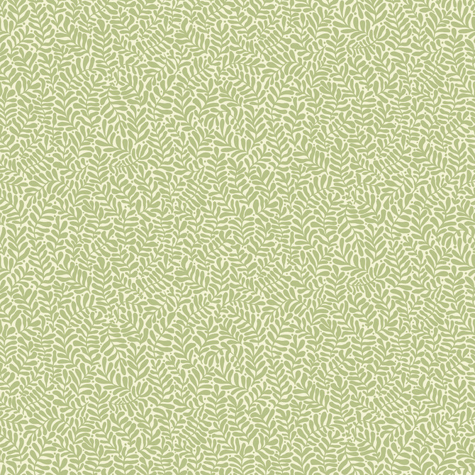 Anna Light Green Fern Trail Wallpaper by A-Street Prints Annelie Covers about 57.5 square feet 20.9-in by 33-ft long roll Unpasted 20.9 - Fabric Carolina -