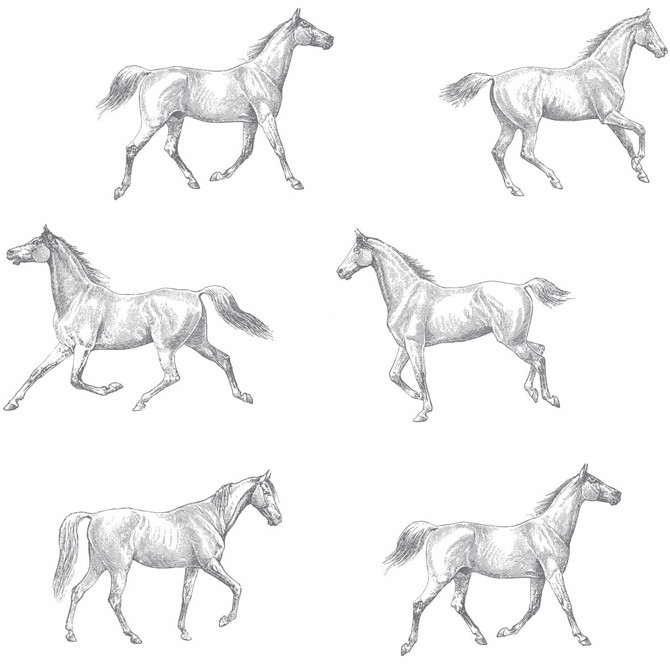 Burnett Off White Horses Wallpaper by ESTA Home Design Department Covers about 56.4 square feet 20.5-in by 33-ft long roll Unpasted 20.9 - Fabric Carolina -