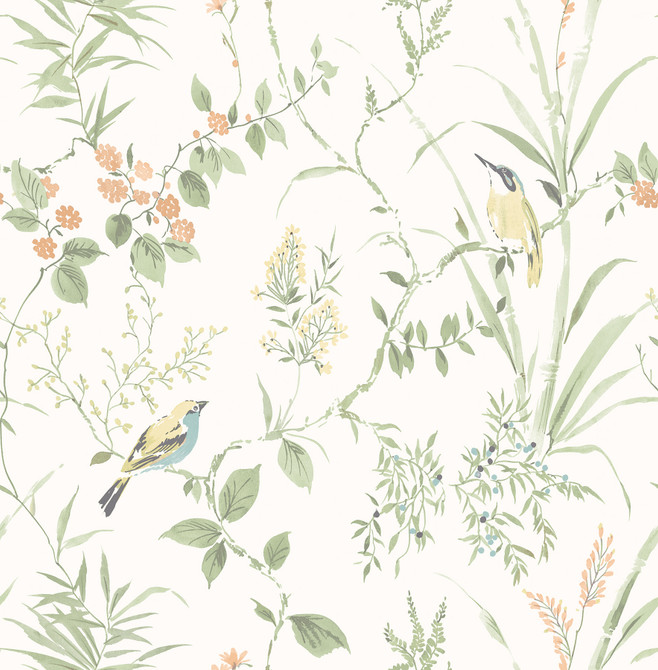 Imperial Garden Sage Botanical Wallpaper by Brewster Fresh Start Kitchen & Bath Covers about 56.4 square feet 20.5-in by 33-ft long roll Unpasted 20.9 - Fabric Carolina -