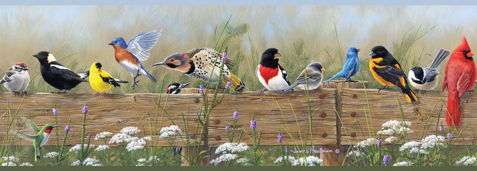 Flock Multicolor Menagerie Wallpaper by Chesapeake Homestead Covers about 7.5 square feet 6-in by 15-ft long roll Prepasted 0 - Fabric Carolina -