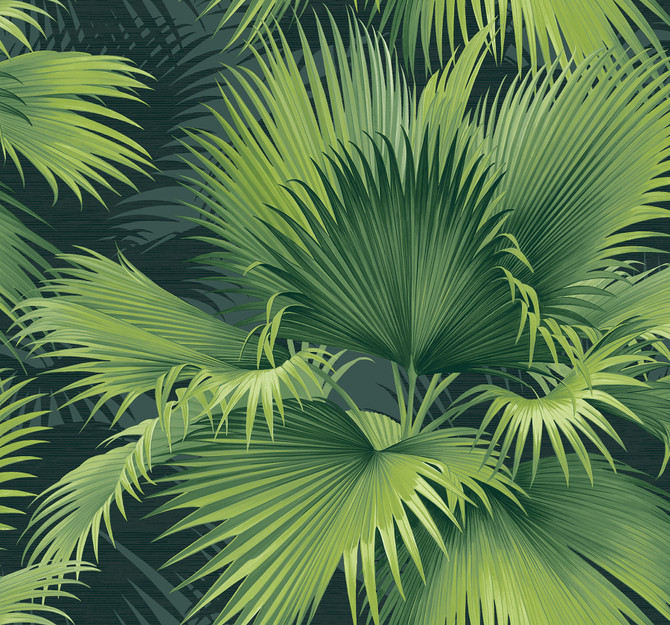 Summer Palm Dark Green Tropical Wallpaper by A-Street Prints Newport Covers about 60.8 square feet 27-in by 27-ft long roll Unpasted 25.2 - Fabric Carolina -