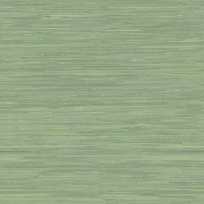 Waverly Green Grasscloth Wallpaper by Chesapeake Sanibel Covers about 56.4 square feet 20.5-in by 33-ft long roll Prepasted 20.5 - Fabric Carolina -
