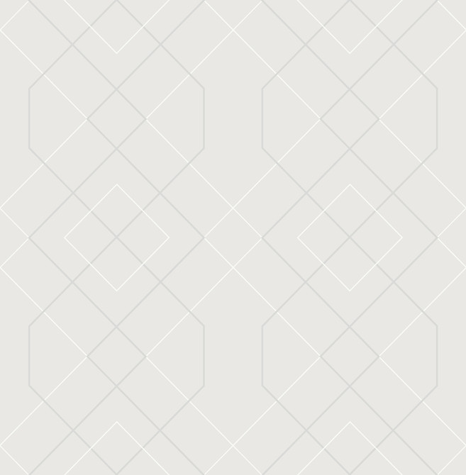 Ballard Silver Geometric Wallpaper by A-Street Prints Scott Living Covers about 56.4 square feet 20.5-in by 33-ft long roll Unpasted 10.4 - Fabric Carolina -
