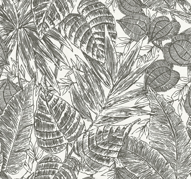 Brentwood Black Palm Leaves Wallpaper by A-Street Prints Scott Living III Covers about 60.8 square feet 27-in by 27-ft long roll Unpasted 25.25 - Fabric Carolina -