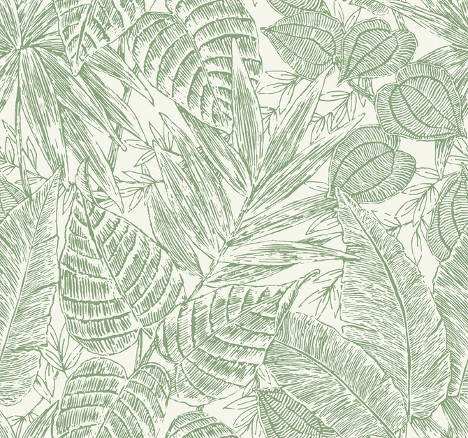 Brentwood Green Palm Leaves Wallpaper by A-Street Prints Scott Living III Covers about 60.8 square feet 27-in by 27-ft long roll Unpasted 25.25 - Fabric Carolina -