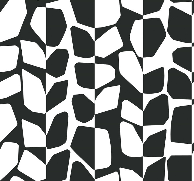 Primitive Vines Black & White Wallpaper by Inspired by Color Black & White, III Covers about 60.8 square feet 27-in by 27-ft long roll Unpasted 25.25 - Fabric Carolina -