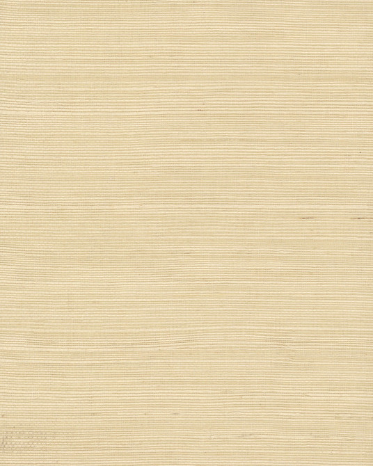 Plain Grass Beige Wallpaper by York Wallcoverings Grasscloth II Covers about 72 square feet 36-in by 24-ft long roll Unpasted 0 - Fabric Carolina -