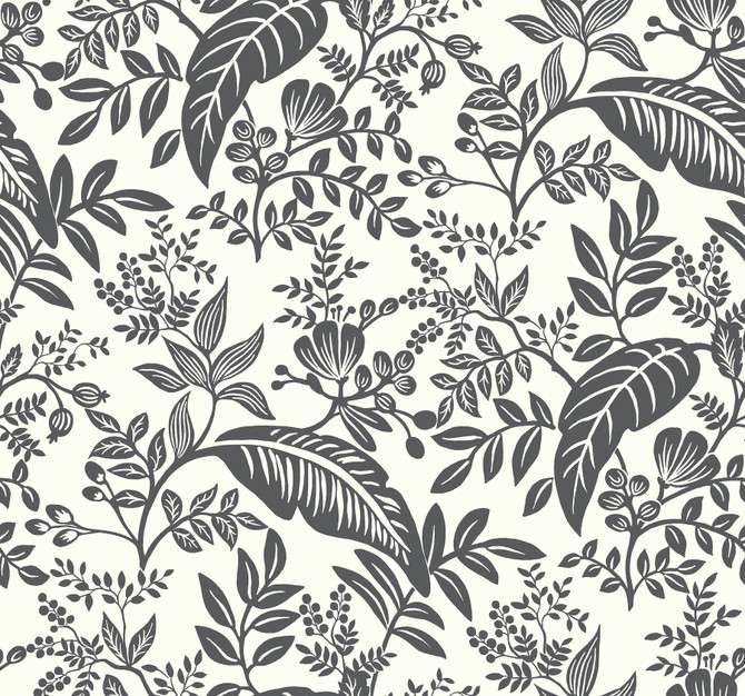 Canopy Black & White Wallpaper by Rifle Paper Co. Rifle Paper Co. Covers about 60.8 square feet 27-in by 27-ft long roll Unpasted 25.25 - Fabric Carolina -