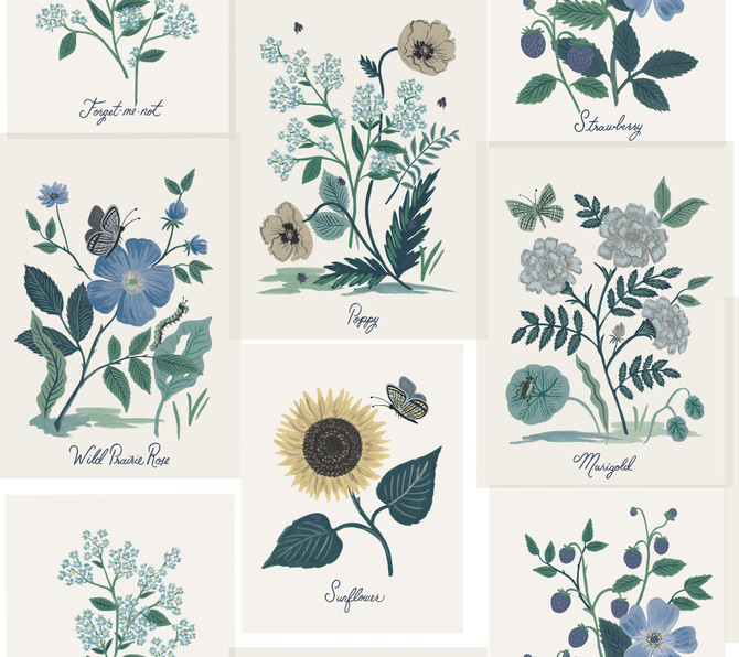 Botanical Prints White & Blue Wallpaper by Rifle Paper Co. Rifle Paper Co. Second Edition Covers about 60.8 square feet 27-in by 27-ft long roll Unpasted 24 - Fabric Carolina -