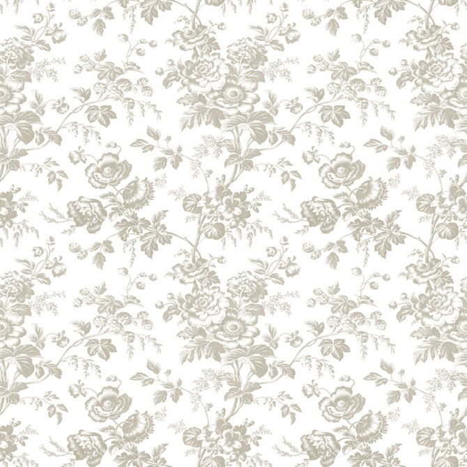 Anemone Toile Taupe Wallpaper by York Wallcoverings Toile Resource Library Covers about 56.4 square feet 20.5-in by 33-ft long roll Prepasted 20.5 - Fabric Carolina - Anemone Toile Taupe Wallpaper by York Wallcoverings Toile Resource Library Covers about 56.4 square feet 20.5-in by 33-ft long roll Prepasted 20.5 - Fabric Carolina -