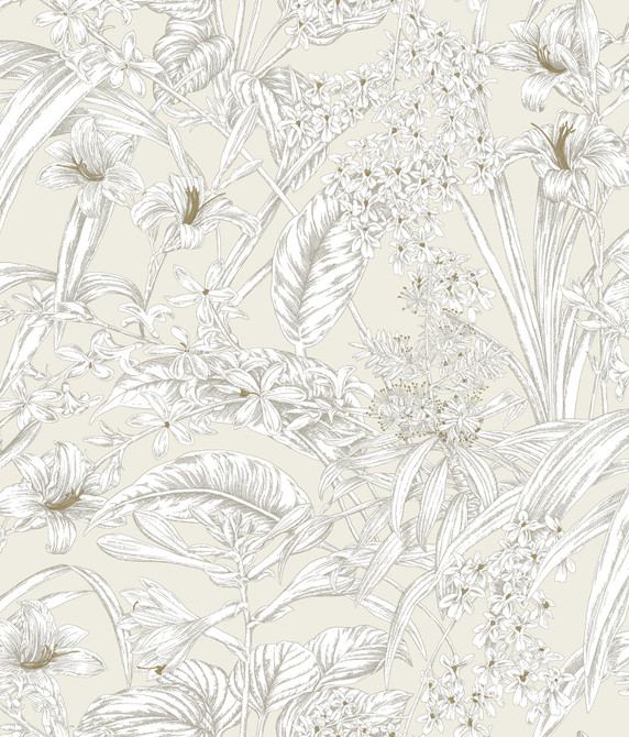 Orchid Conservatory Toile Beige & Taupe Wallpaper by York Wallcoverings Toile Resource Library Covers about 56.4 square feet 20.5-in by 33-ft long roll Unpasted 24 - Fabric Carolina -