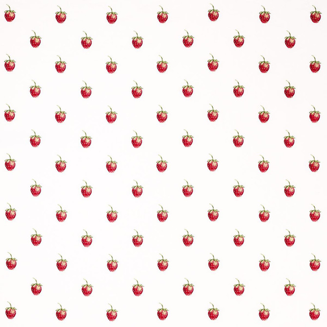 Freshie Fresh Ivory 82280 by Schumacher Fabric Johnson Hartig 8.0" - Fabric Carolina -
