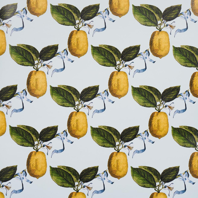 Le Citron Sky 5014281 by Schumacher Wallpaper Johnson Hartig 10.8" - Fabric Carolina -
