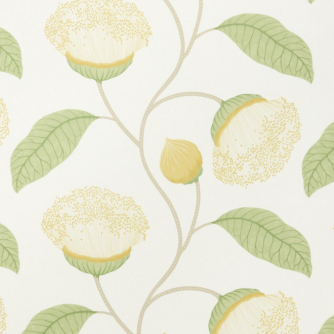 Celinda Citrus 5016362 by Schumacher Wallpaper A Love Affair 18.0" - Fabric Carolina -