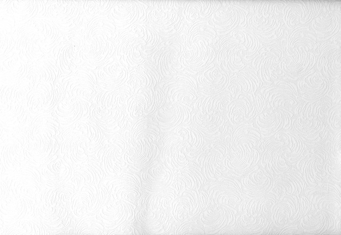 Malkmus Paintable Shell Texture Wallpaper by Brewster Paintable Solutions V Covers about 56.4 square feet 20.5-in by 33-ft long roll Prepasted 5 - Fabric Carolina -