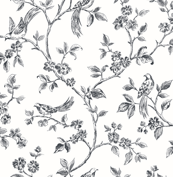 Ray Black Bird Trail Wallpaper by Advantage Kitchen Covers about 56.4 square feet 20.5-in by 33-ft long roll Unpasted 10.4 - Fabric Carolina -