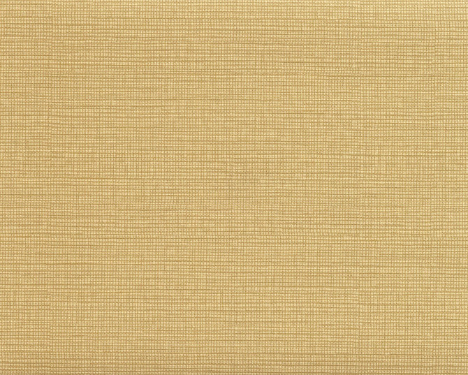 Modern Line Brown Wallpaper by 750 Home Color Library II Covers about 57.8 square feet 21-in by 33-ft long roll Unpasted 0 - Fabric Carolina -