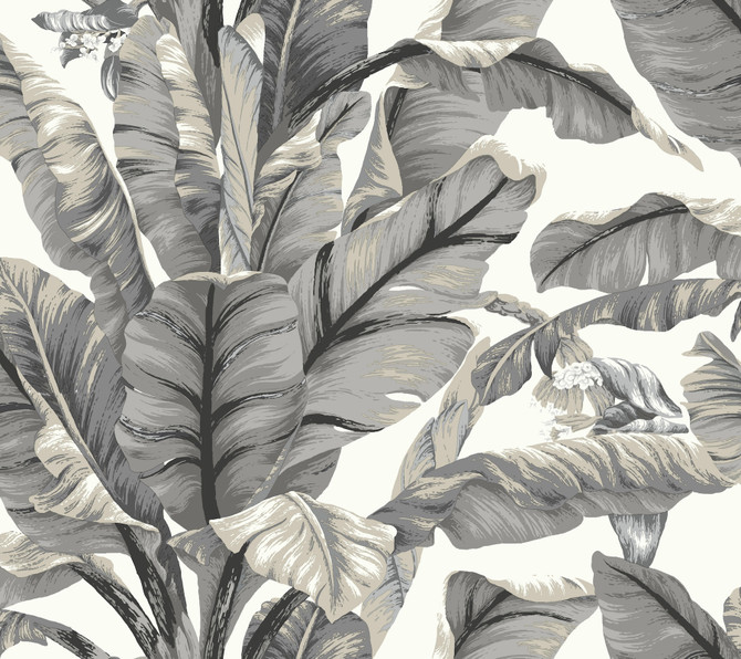 Banana Leaf White & Black Peel & Stick Wallpaper by York Wallcoverings York Premium Peel + Stick Covers about 45 square feet 27-in by 20-ft long roll Peel & Stick 25.25 - Fabric Carolina -