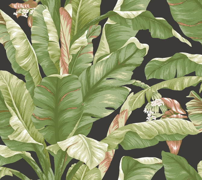 Banana Leaf Black & Green Peel & Stick Wallpaper by York Wallcoverings York Premium Peel + Stick Covers about 45 square feet 27-in by 20-ft long roll Peel & Stick 25.25 - Fabric Carolina -