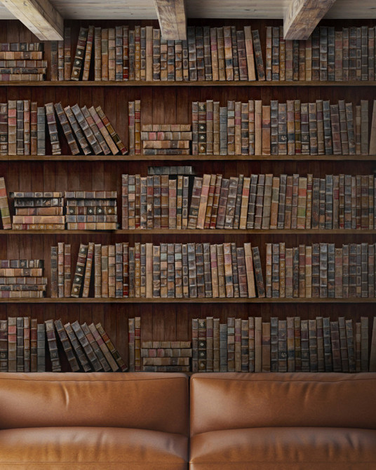 BOOK SHELVES Premium Wallpaper (WP20112) by Mind The Gap | WP20112 | WALLPAPER DESIGNER COLLECTION | 3 rolls x 20.5 x 118.1 in | 0.52m / 20.5in | 3m / 118in | 4.65mp | 77cm / 30.4in | Blue, Brown, Green, Red | Non-woven | Paste the wall | 3-rolls in a box | Fabric Carolina | https://www.fabriccarolina.com/
