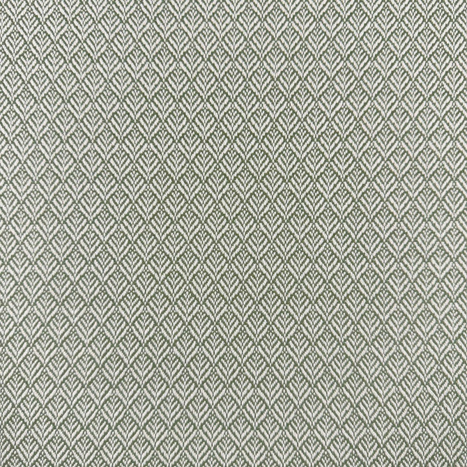 Mimus Rosemary by Magnolia Fabric - 100% POLYESTER CHINA 60000 Horizontal: 0.5 and Vertical: 0.75 54 - Fabric Carolina -