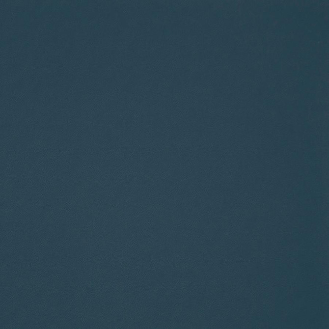 Trailrider # 110 Ocean by Maxwell Fabric Trailrider FACE: 100% POLYURETHANE (POLYCARBONATE)
BACKING: 100% POLYESTER CHINA 54" - Fabric Carolina -