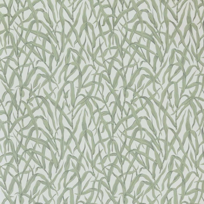 Ornamental Grasses (Wp) # 01 Sage by 1838 Wallcoverings Wallpaper V&A Decorative Papers Iii STRAIGHT PASTE THE WALL UNITED KINGDOM V-21" 20.5"X11YD - Fabric Carolina -