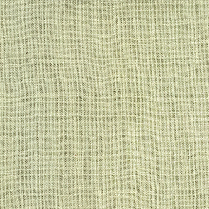 Loom Wise Celery by Carole Fabric Keep It Real 80% Linen, 20% Cotton N/A None 54" - Fabric Carolina -