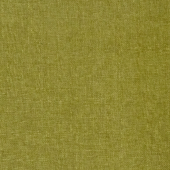 Business Casual Cactus by Carole Fabric Power Play 100% Polyester 100,000 Wyzenbeek Double Rubs None 54" - Fabric Carolina -