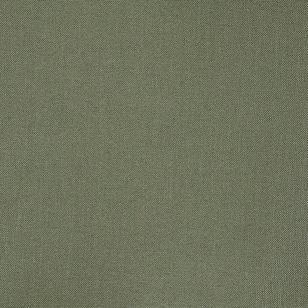 Reform Sage by Carole Fabric Reclamation 100% Recycled Polyester 50,000 Wyzenbeek Double Rubs None 54" - Fabric Carolina -