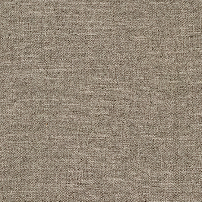 Resourceful Mushroom by Carole Fabric Reclamation 77% Recycled Polyester, 23% Polyester 12,000 Martindale Circular Rubs None 55" - Fabric Carolina -