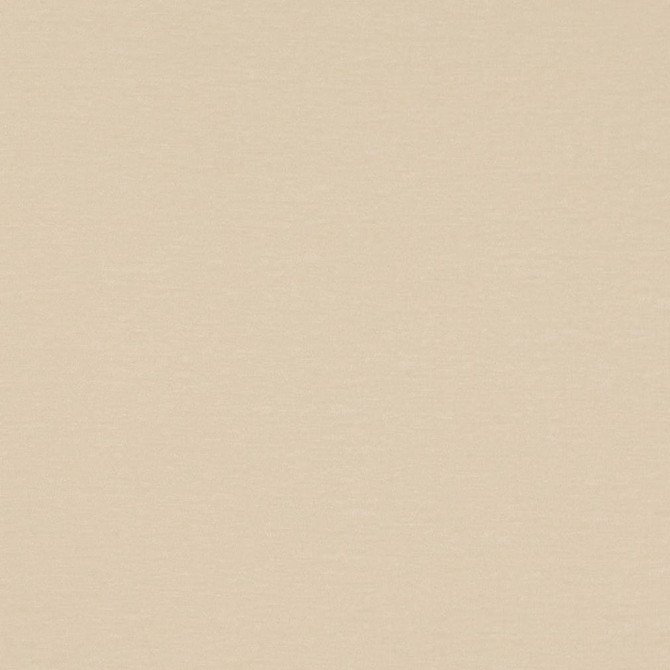D4699 Pearl by Charlotte Fabric Luxe Velvet II 100% Polyester Asia Exceeds 120,000 Wyzenbeek Rubs (Heavy Duty) No Repeat 54 Inches - Fabric Carolina -