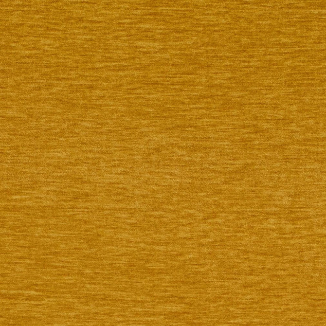 D4731 Saffron by Charlotte Fabric Luxe Velvet II 100% Polyester Asia Exceeds 120,000 Wyzenbeek Rubs (Heavy Duty) No Repeat 54 Inches - Fabric Carolina -
