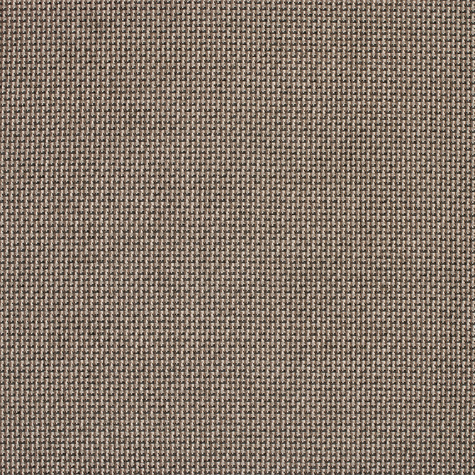 Greenhouse Fabric F5799 Alloy - 100% Polyester China 50000 None 57" - My Fabric Connection -