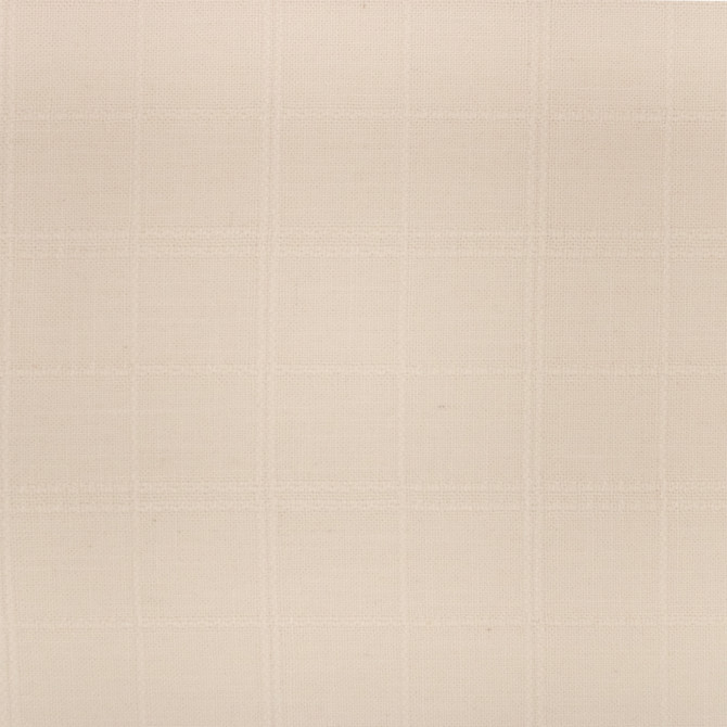 Greenhouse Fabric F6013 Blanco - 55% Polyester, 35% Rayon, 10% Linen China 15000 9.5" H, 9.5" V 56" - My Fabric Connection -