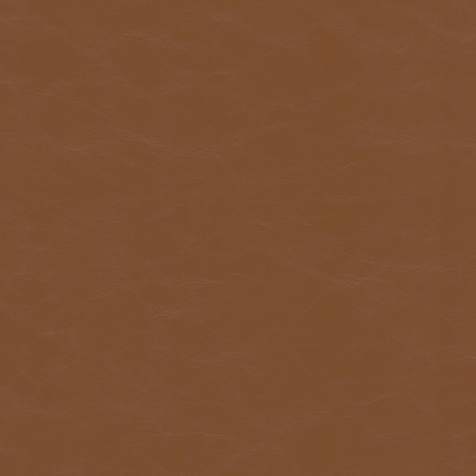 Accurate 3 Acorn by Stout Fabric Stout Fabric Accurate 3 AcornFabric Leather Looks Vi 100%Pvc China </p><p>Repeat: H: 0, V: 1.5 54 in - Fabric Carolina -