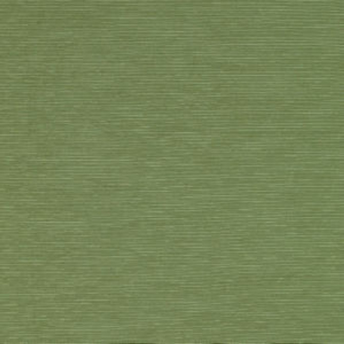 Alpine Fennel 323 by Norbar Fabric ALPINE 70% COTTON - 30% POLYESTER INDIA 57 - Fabric Carolina - Alpine Fennel 323 by Norbar Fabric ALPINE 70% COTTON - 30% POLYESTER INDIA 57 - Fabric Carolina -