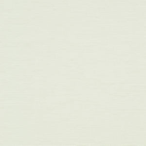 Alpine Oyster 003 by Norbar Fabric ALPINE 70% COTTON - 30% POLYESTER INDIA 57 - Fabric Carolina -