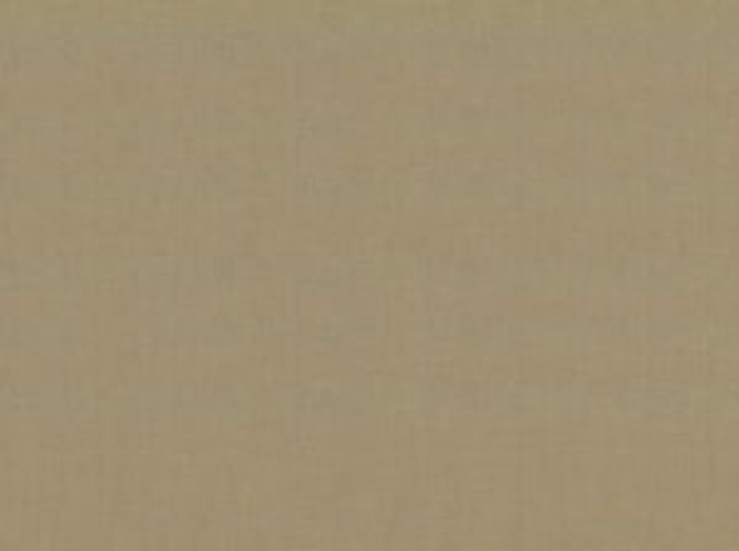 Ebbtide Latte 199 by Norbar Fabric ALPINE 100% RECYCLED POLYESTER INDIA 55 - Fabric Carolina - Ebbtide Latte 199 by Norbar Fabric ALPINE 100% RECYCLED POLYESTER INDIA 55 - Fabric Carolina -